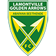 Golden Arrows